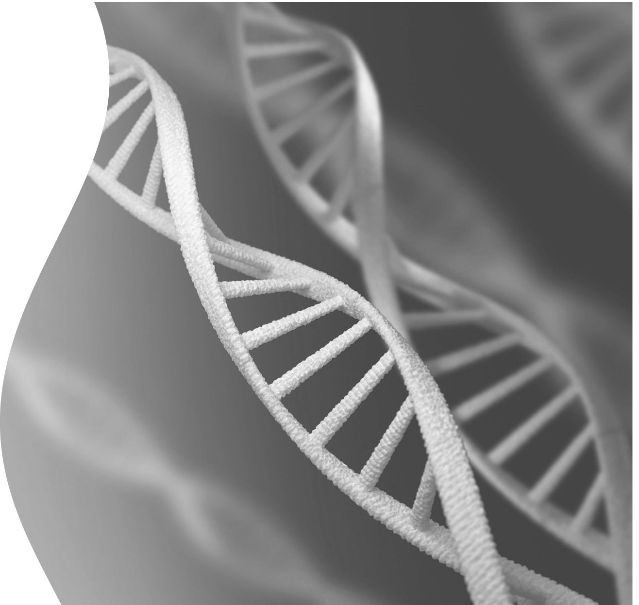 Syngoi Linear Synthetic DNA Manufacturing