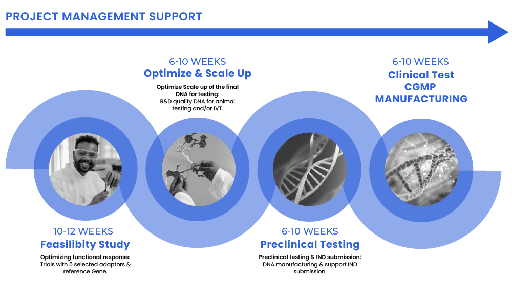 syngoi project management support DNA optimize clinical test manufacturing DNA